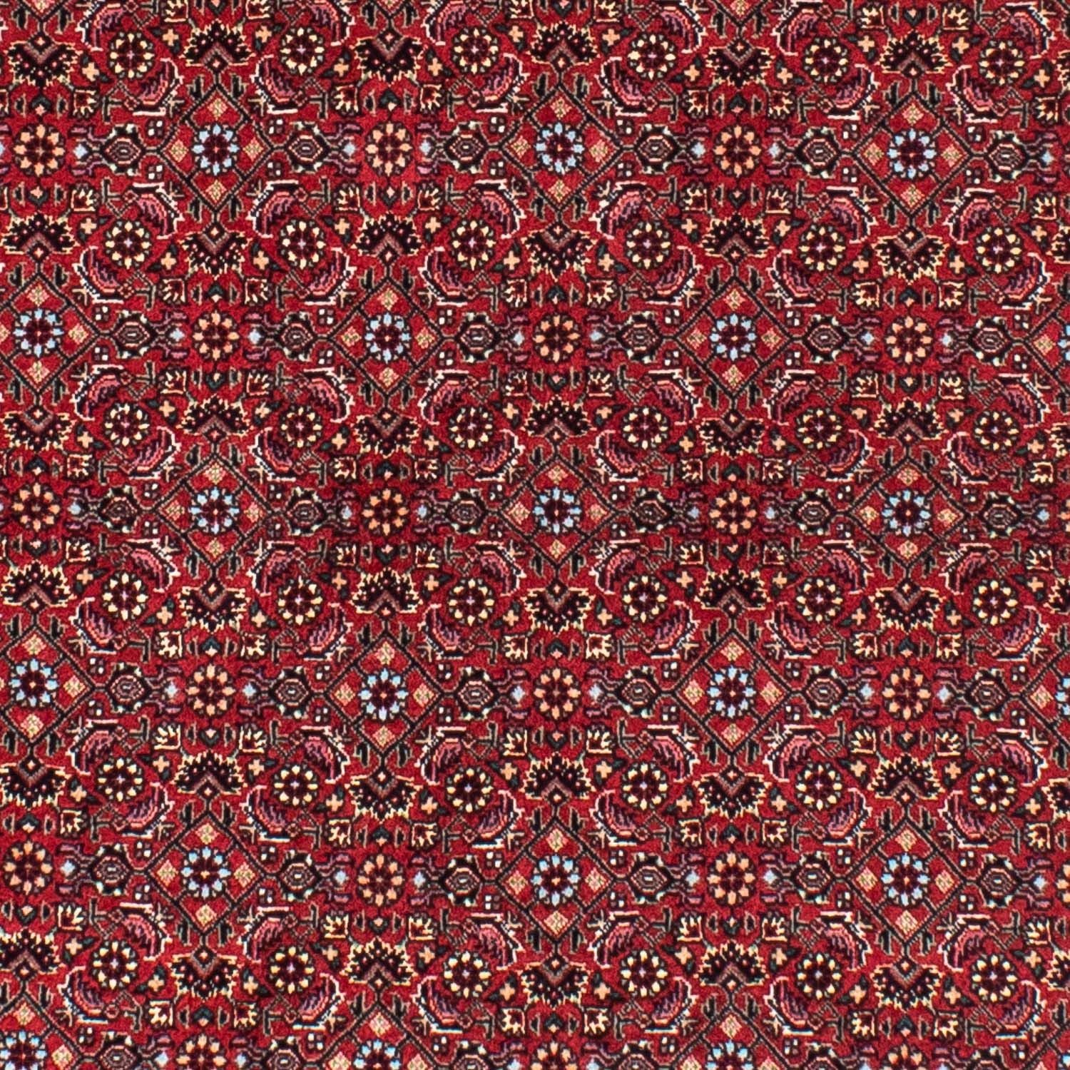 Persisk tæppe - Bijar rundt  - 150 x 150 cm - mørkerød