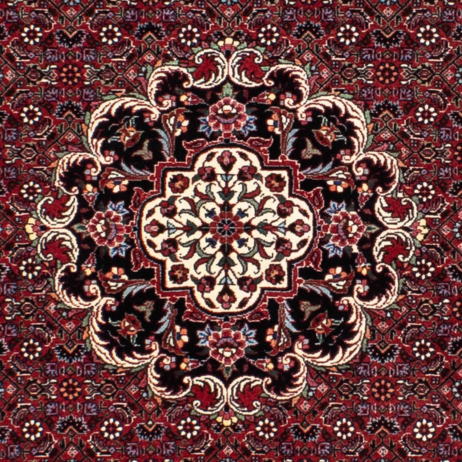 Persisk tæppe - Bijar rundt  - 150 x 150 cm - mørkerød