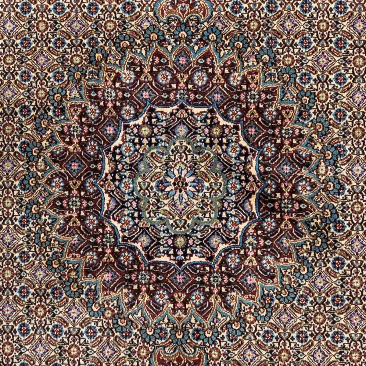 Persisk tæppe - Classic - 231 x 157 cm - brun