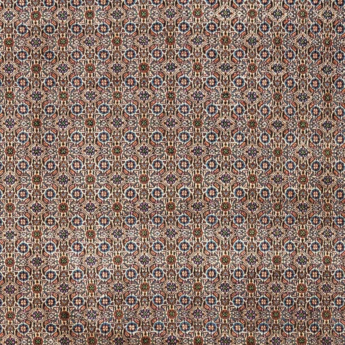 Persisk tæppe - Classic - 342 x 250 cm - beige