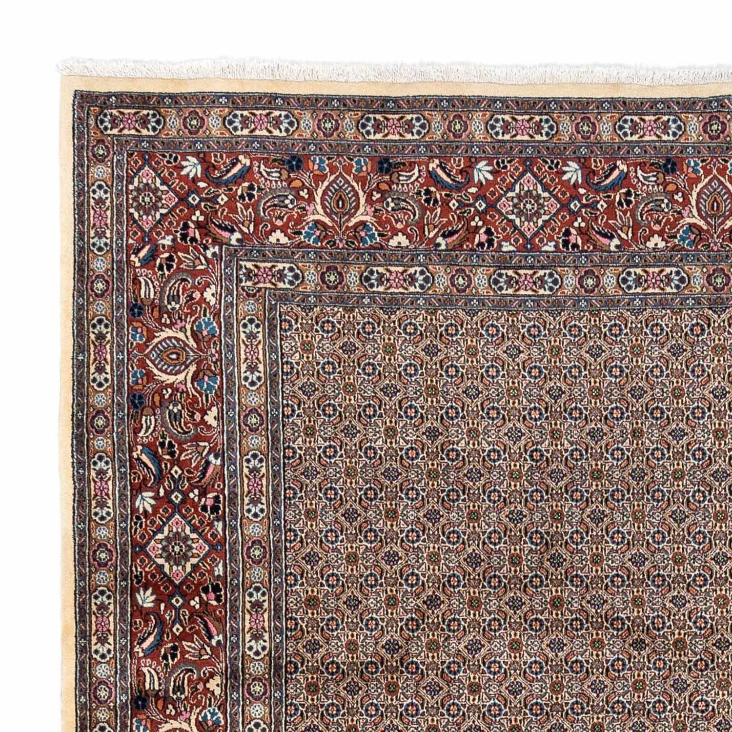 Persisk tæppe - Classic - 342 x 250 cm - beige