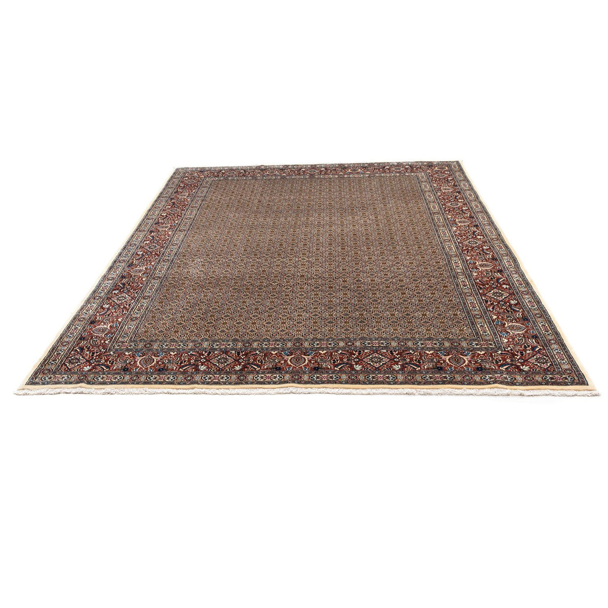 Persisk tæppe - Classic - 342 x 250 cm - beige