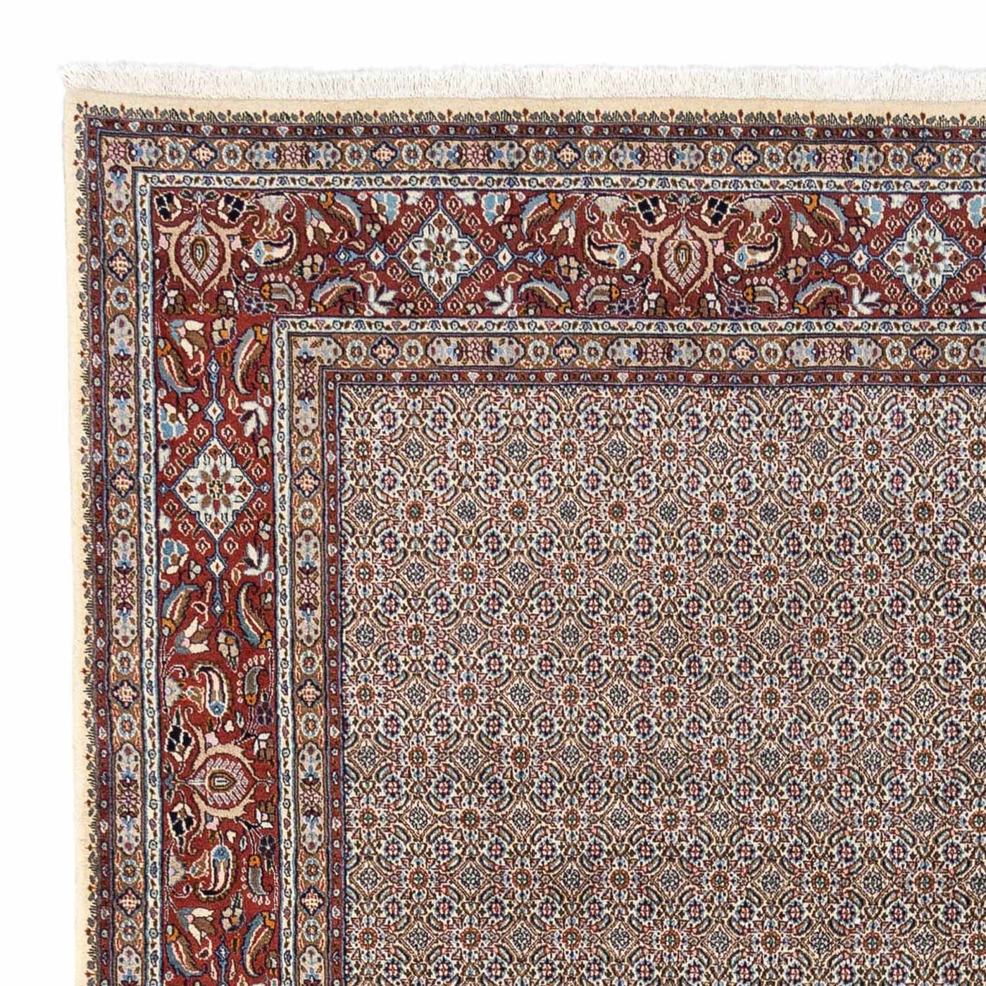 Persisk tæppe - Classic - 334 x 248 cm - beige