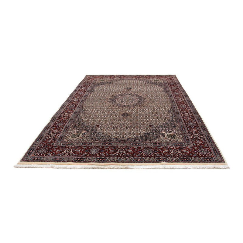 Persisk tæppe - Classic - 296 x 203 cm - beige