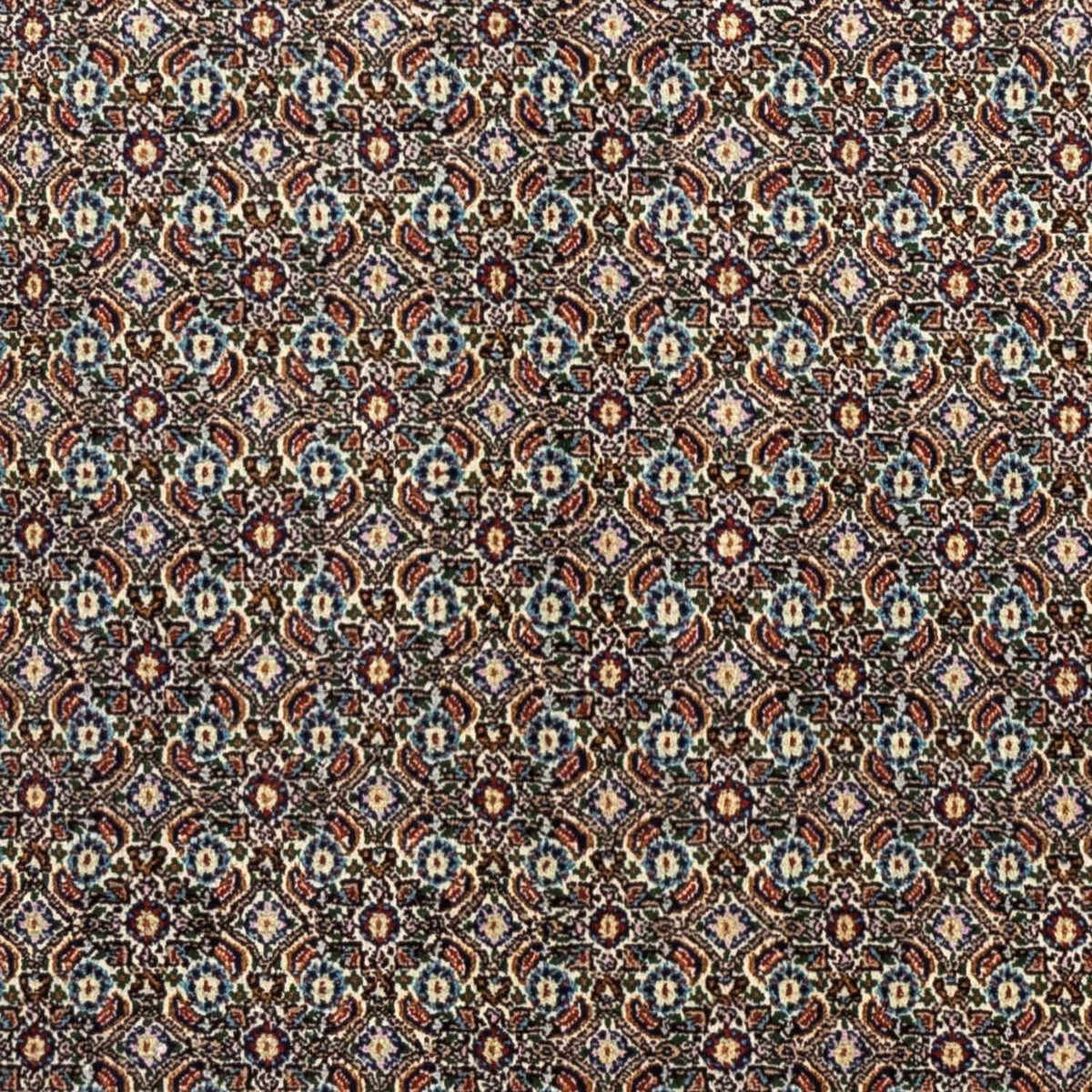 Persisk tæppe - Classic - 240 x 172 cm - beige