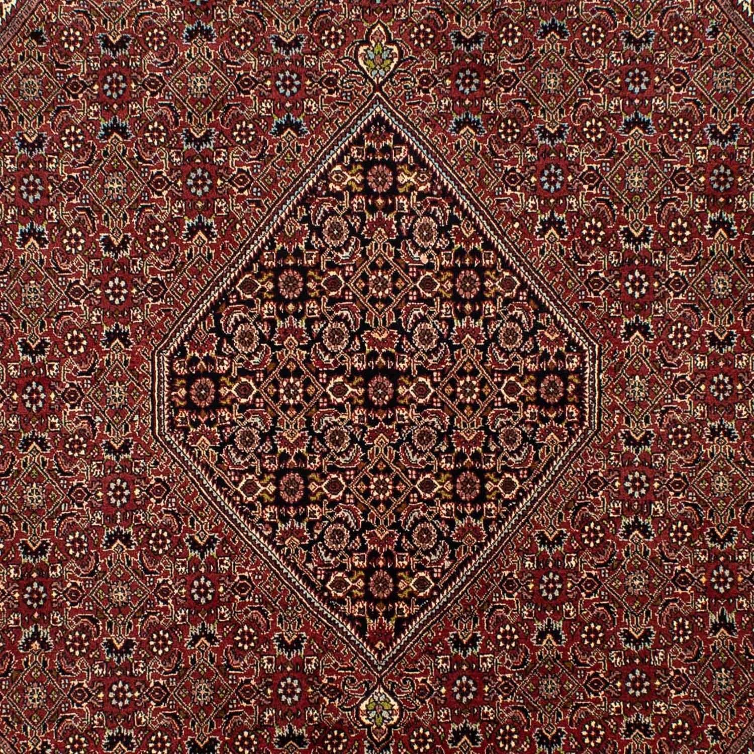 Persisk tæppe - Bijar - 295 x 200 cm - brun