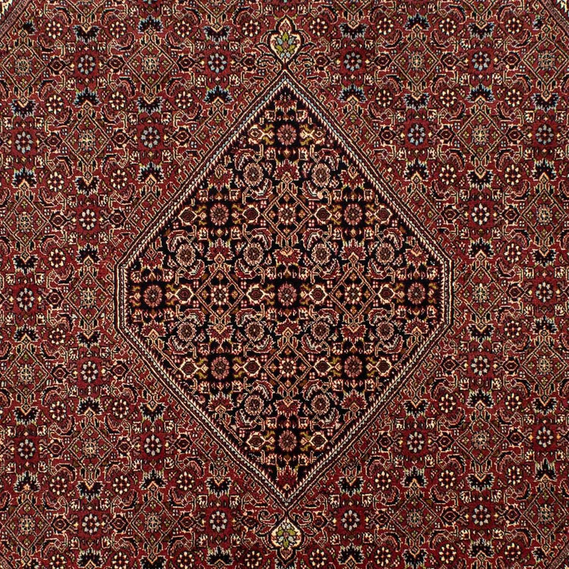 Persisk tæppe - Bijar - 295 x 200 cm - brun
