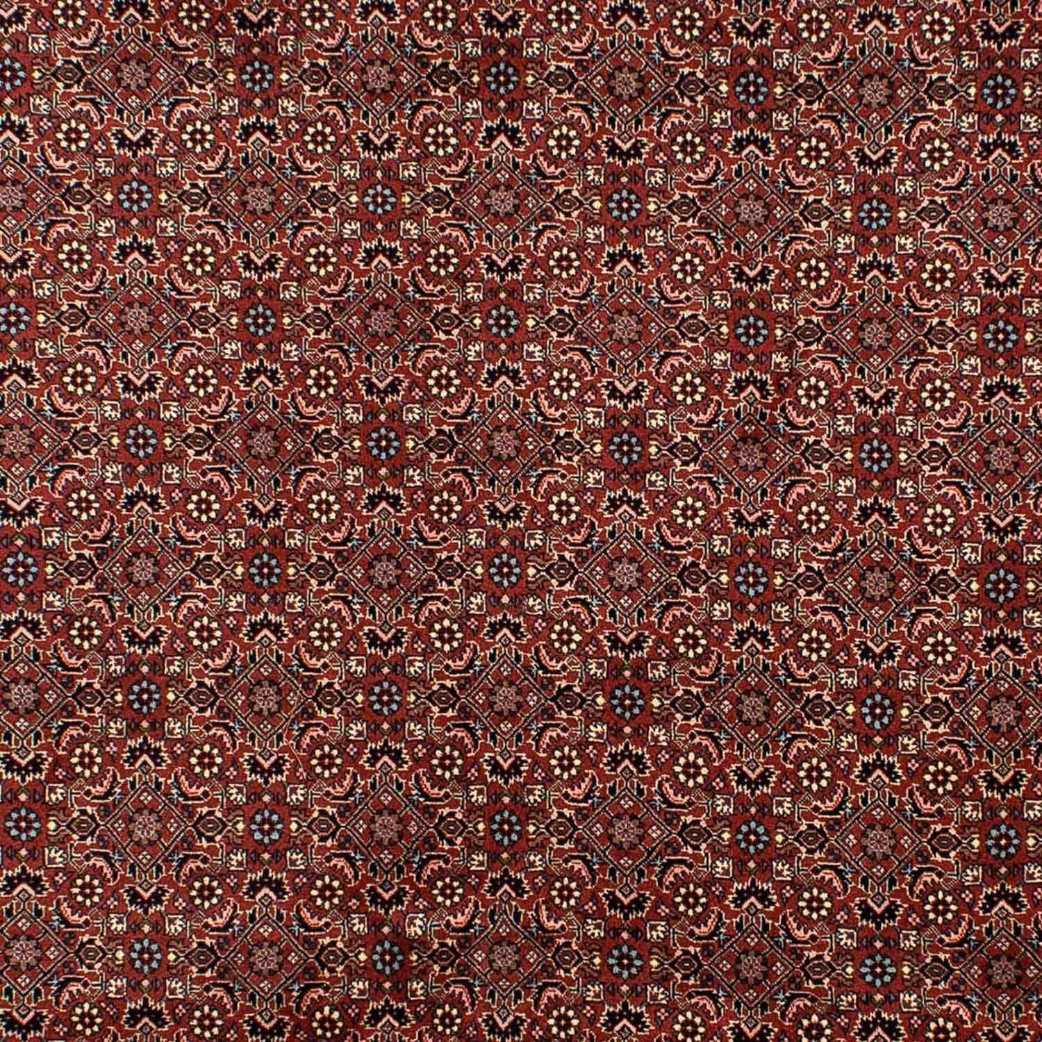 Persisk tæppe - Bijar - 293 x 200 cm - brun