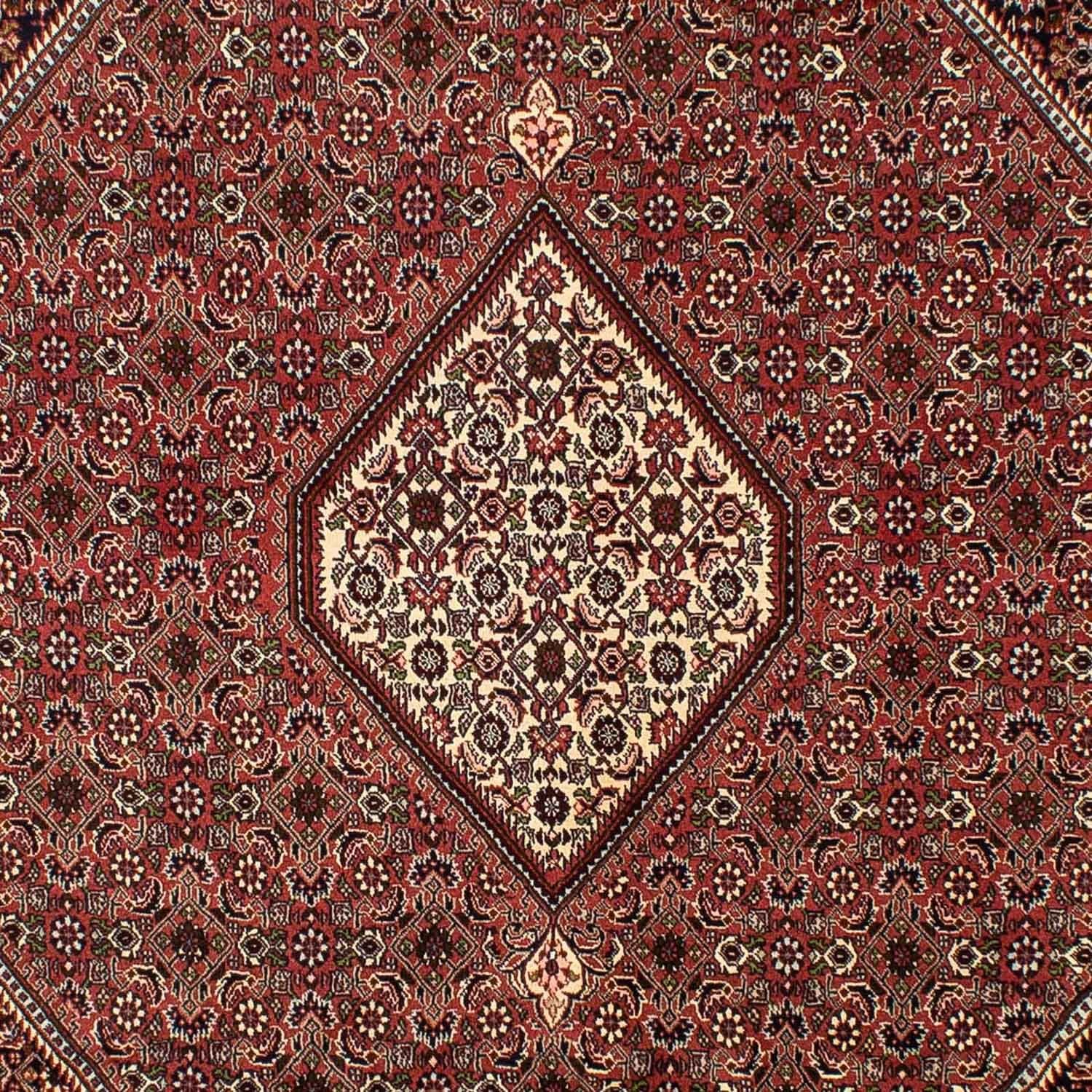 Persisk tæppe - Bijar - 298 x 200 cm - brun