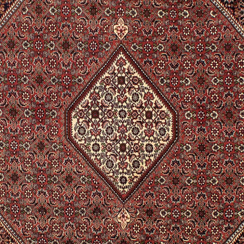 Persisk tæppe - Bijar - 298 x 200 cm - brun