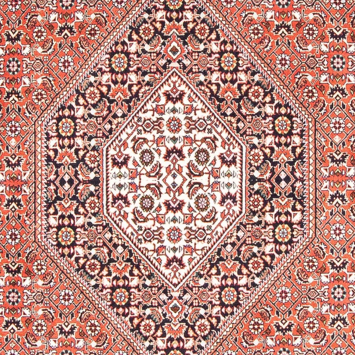 Persisk tæppe - Bijar - 179 x 111 cm - laks