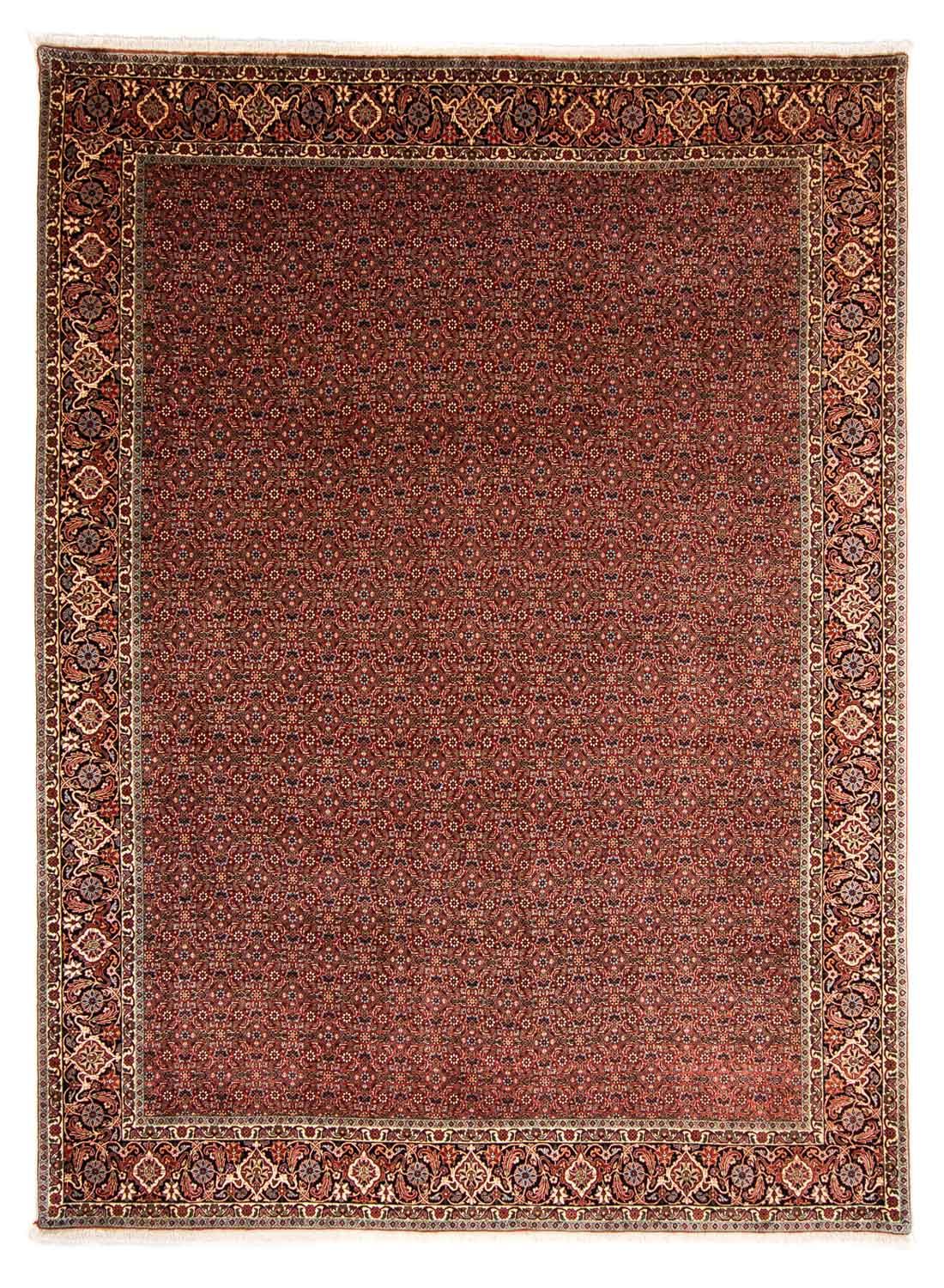Persisk tæppe - Bijar - 340 x 254 cm - mørkerød
