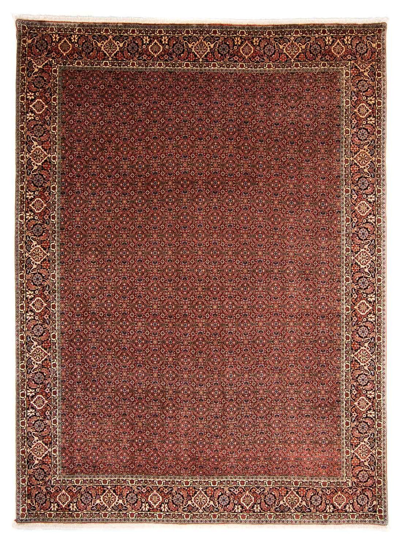 Persisk tæppe - Bijar - 340 x 254 cm - mørkerød