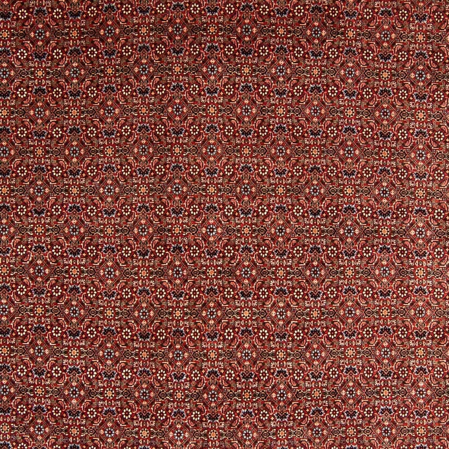 Persisk tæppe - Bijar - 340 x 254 cm - mørkerød
