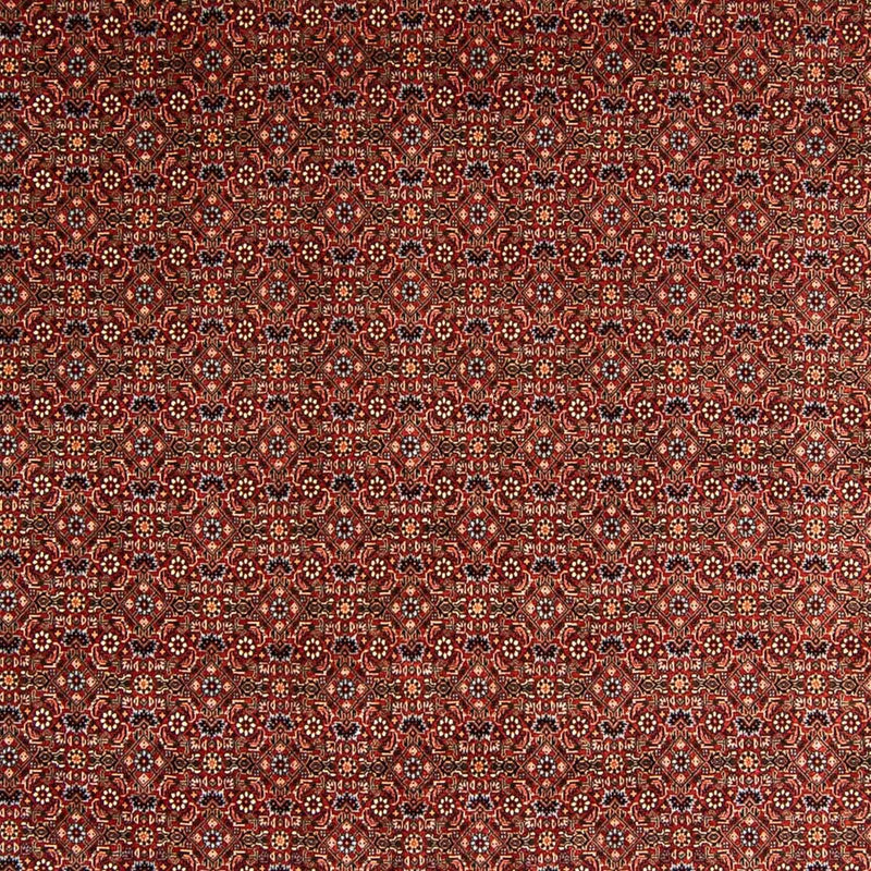 Persisk tæppe - Bijar - 340 x 254 cm - mørkerød