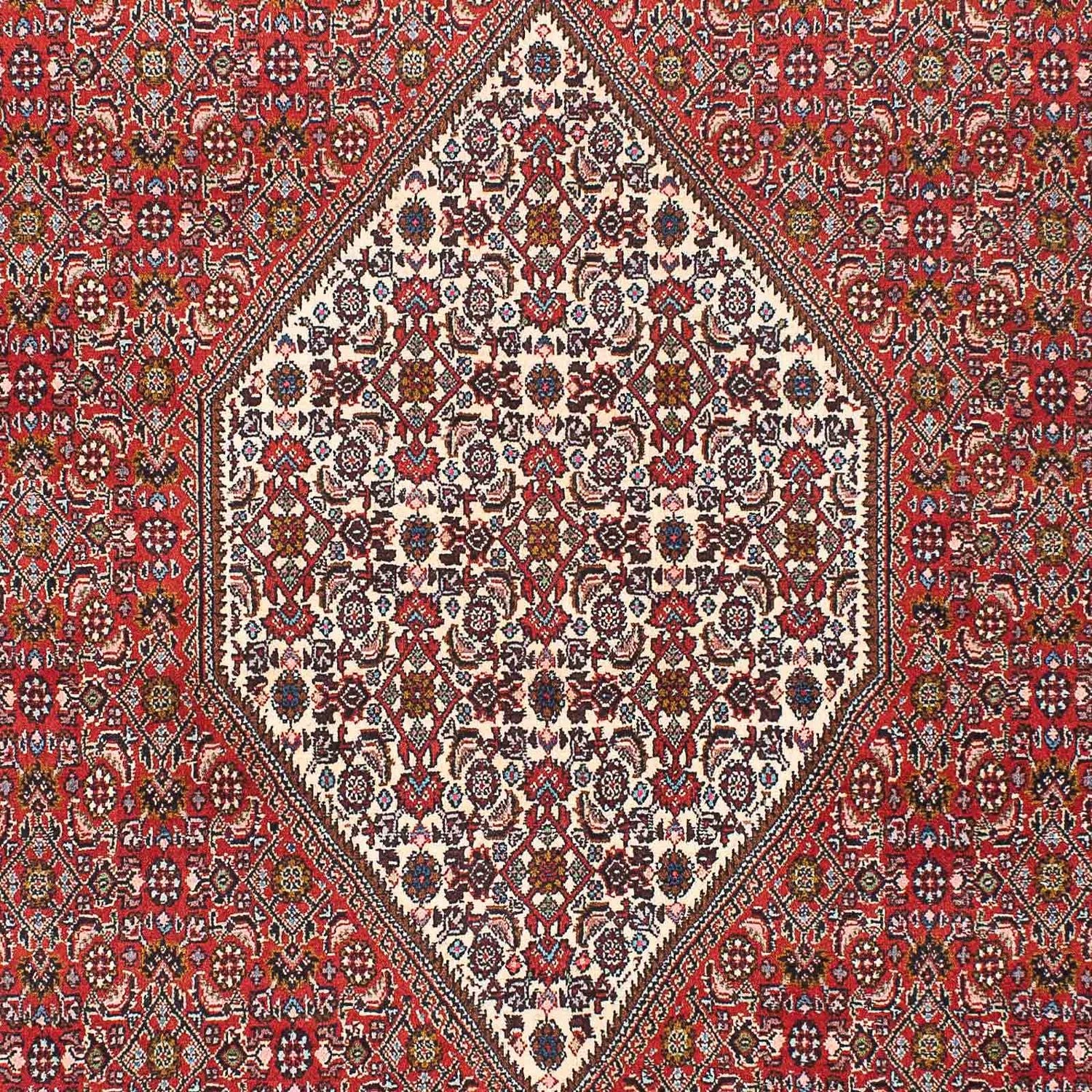 Persisk tæppe - Bijar - 225 x 136 cm - rød