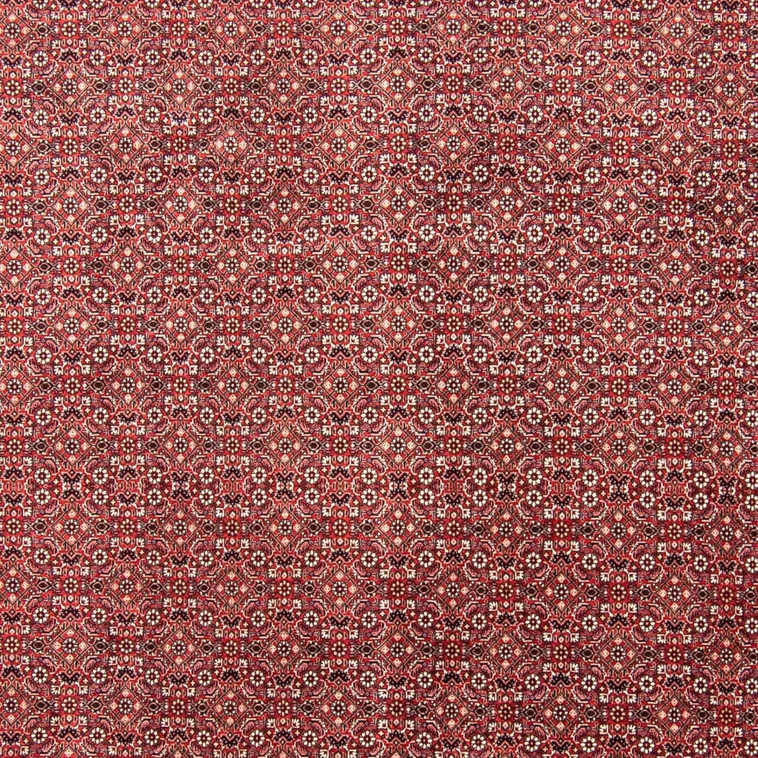 Persisk tæppe - Bijar - 350 x 245 cm - rød