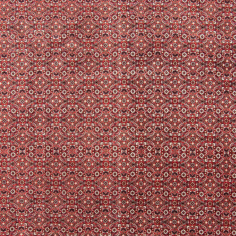 Persisk tæppe - Bijar - 350 x 245 cm - rød