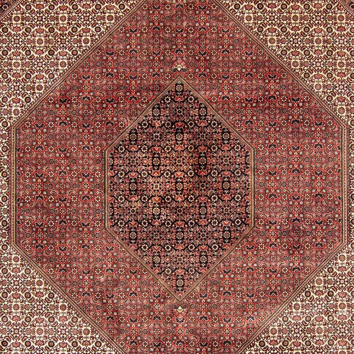 Persisk tæppe - Bijar - 388 x 302 cm - brun