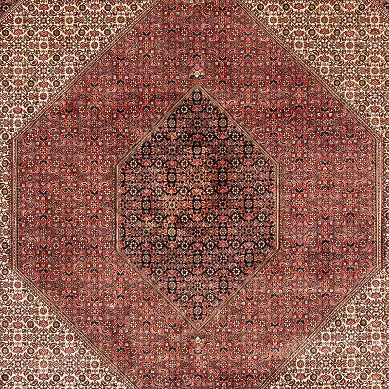 Persisk tæppe - Bijar - 388 x 302 cm - brun