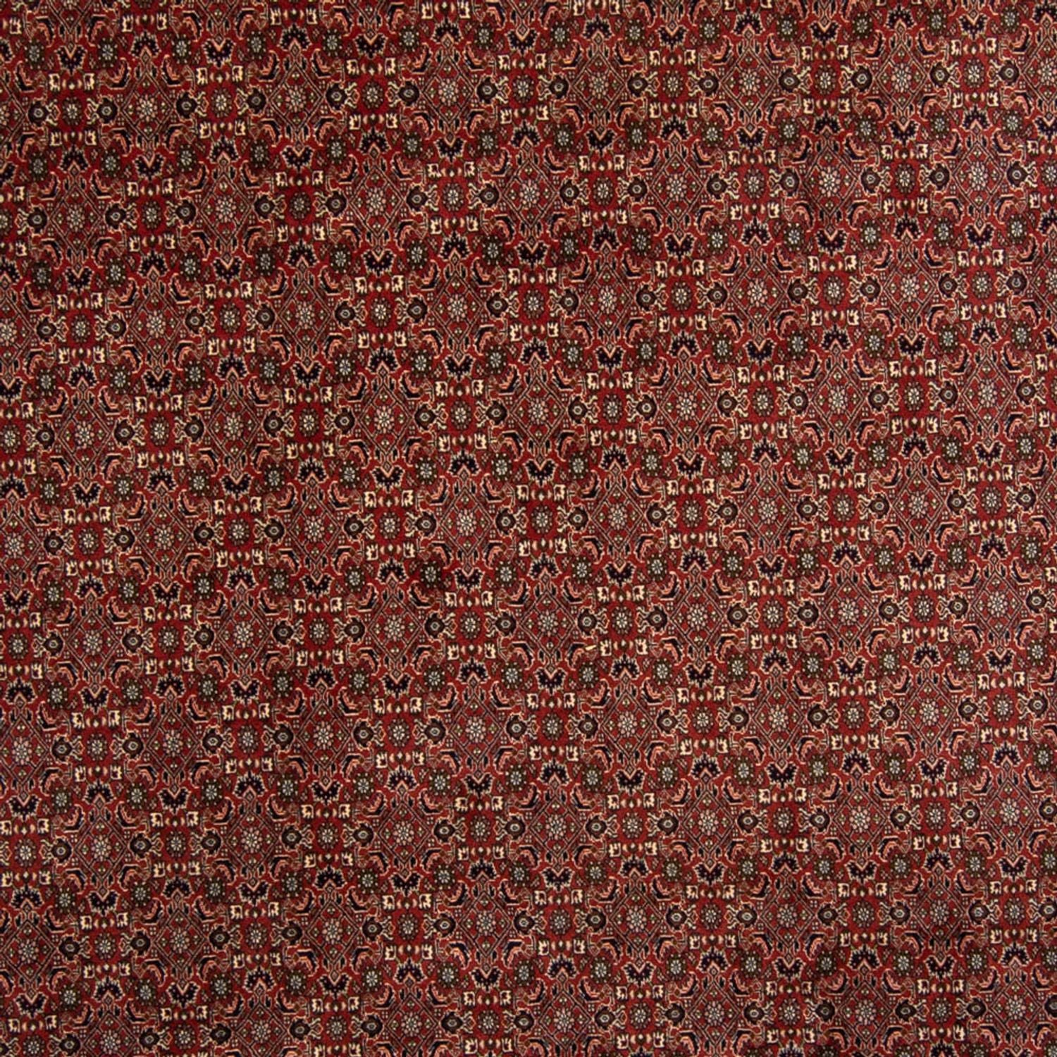 Persisk tæppe - Bijar - 342 x 244 cm - brun