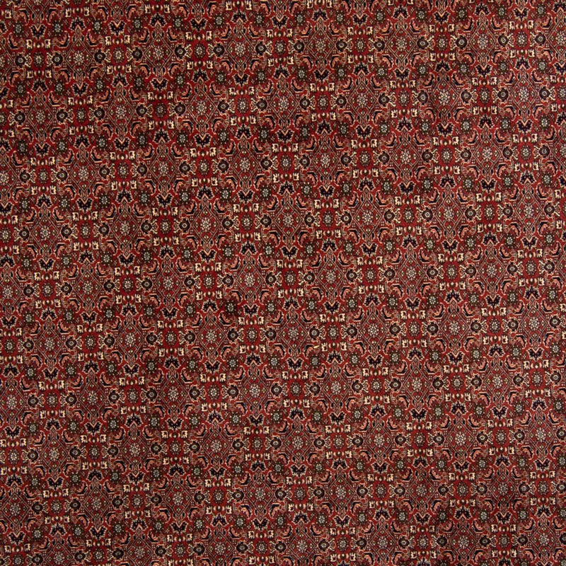 Persisk tæppe - Bijar - 342 x 244 cm - brun