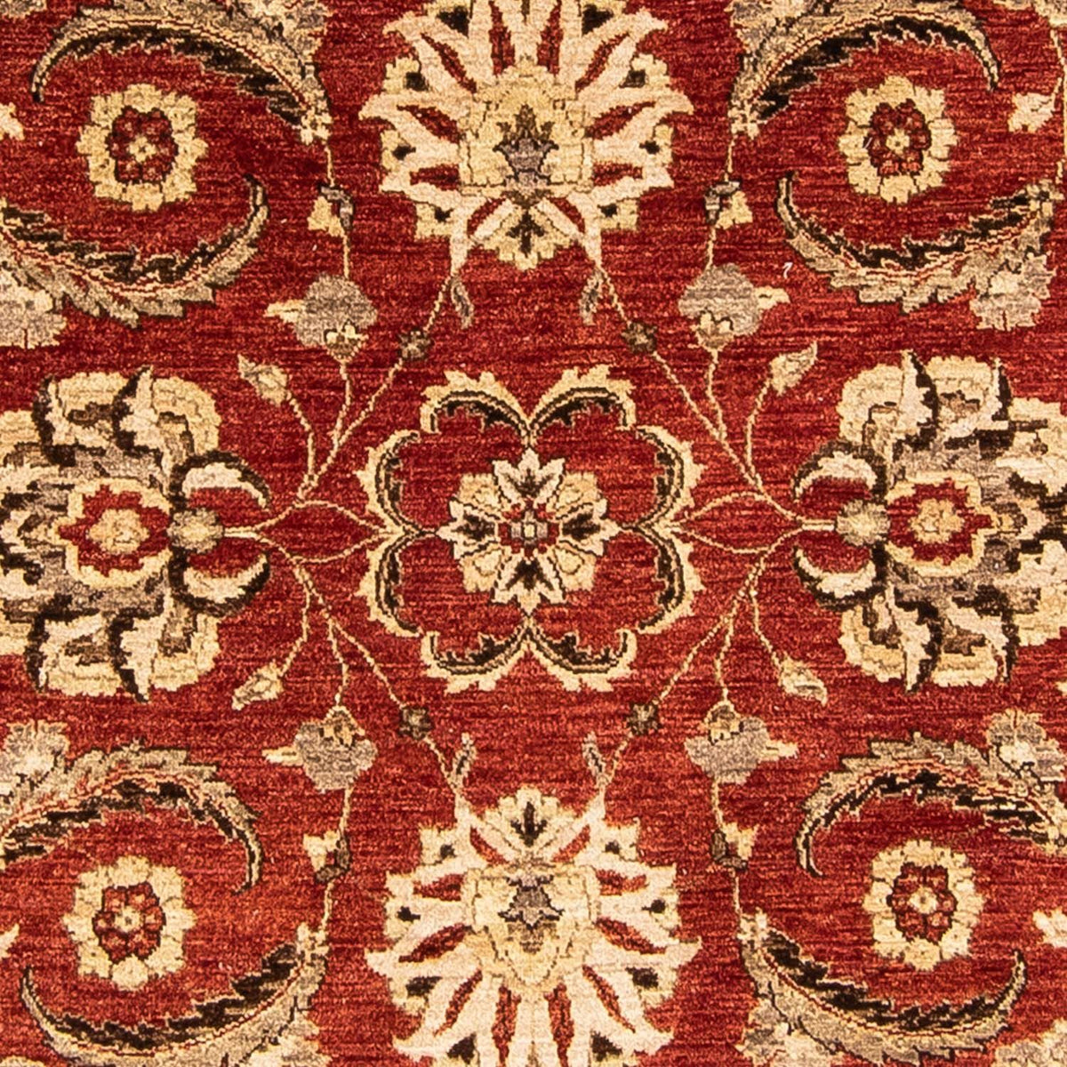 Ziegler Carpet rundt  - 248 x 239 cm - mørkerød
