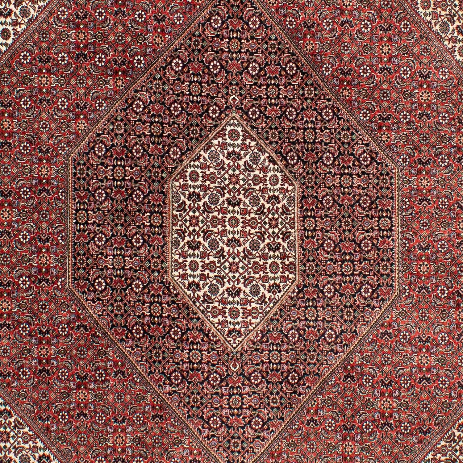 Persisk tæppe - Bijar - 294 x 204 cm - lysrød