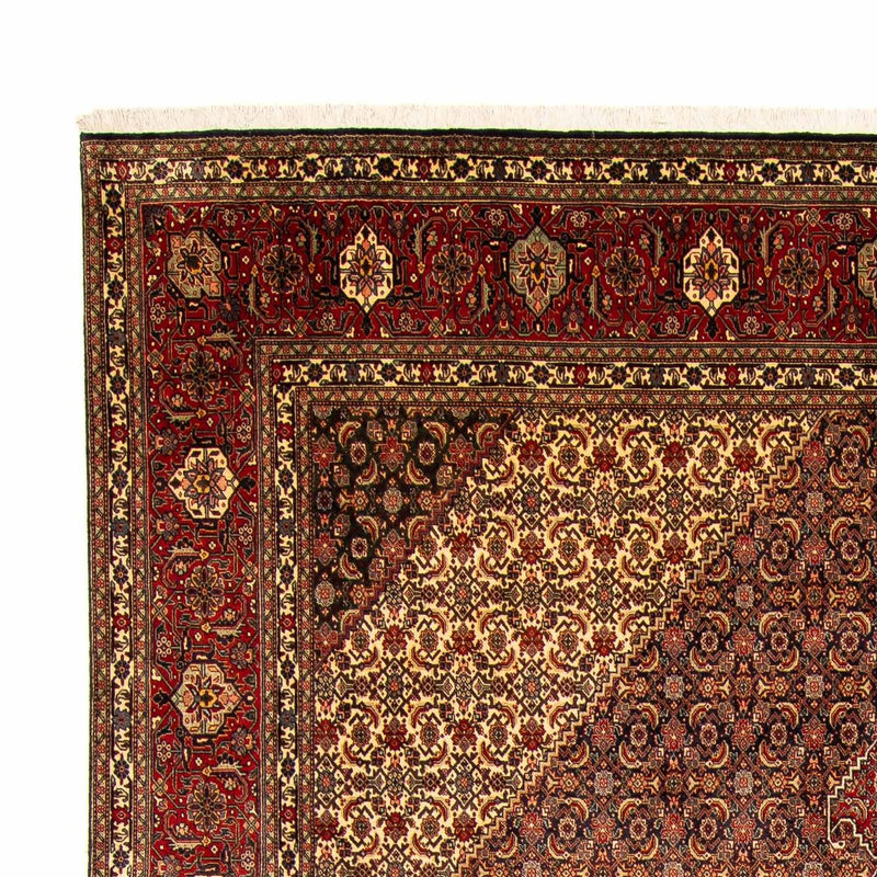 Persisk tæppe - Tabriz - 395 x 300 cm - brun