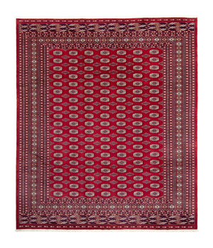 Afghansk tæppe - Bukhara - 303 x 253 cm - rød
