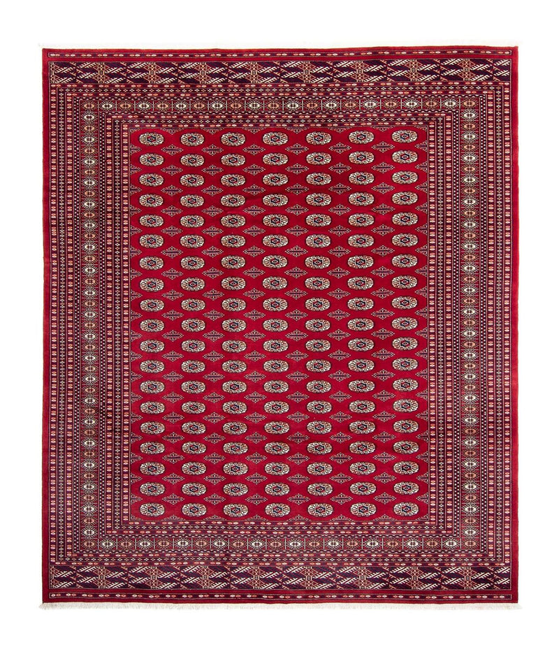 Afghansk tæppe - Bukhara - 303 x 253 cm - rød