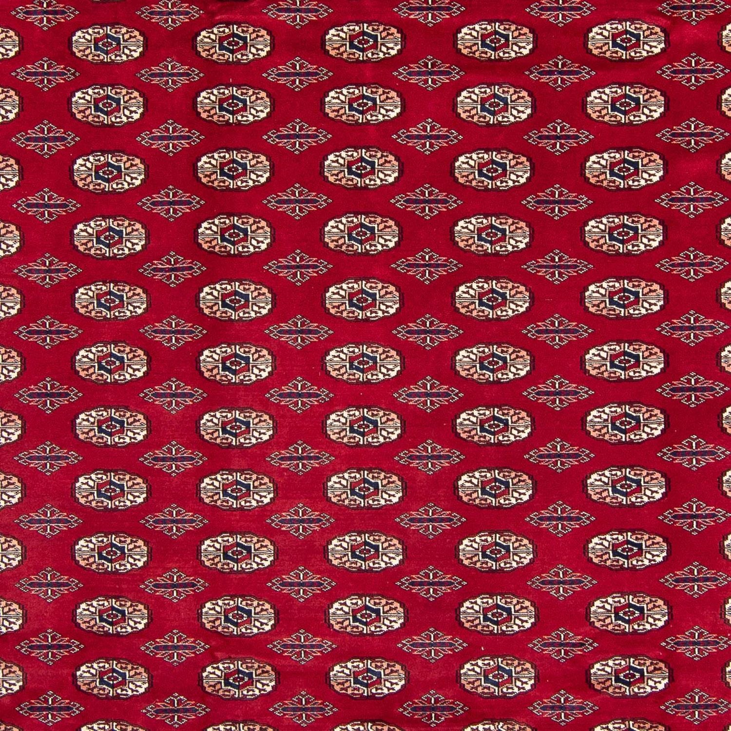 Afghansk tæppe - Bukhara - 303 x 253 cm - rød