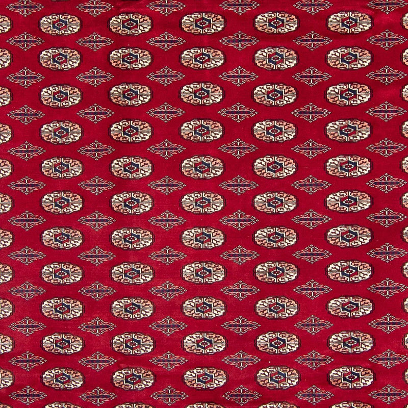 Afghansk tæppe - Bukhara - 303 x 253 cm - rød