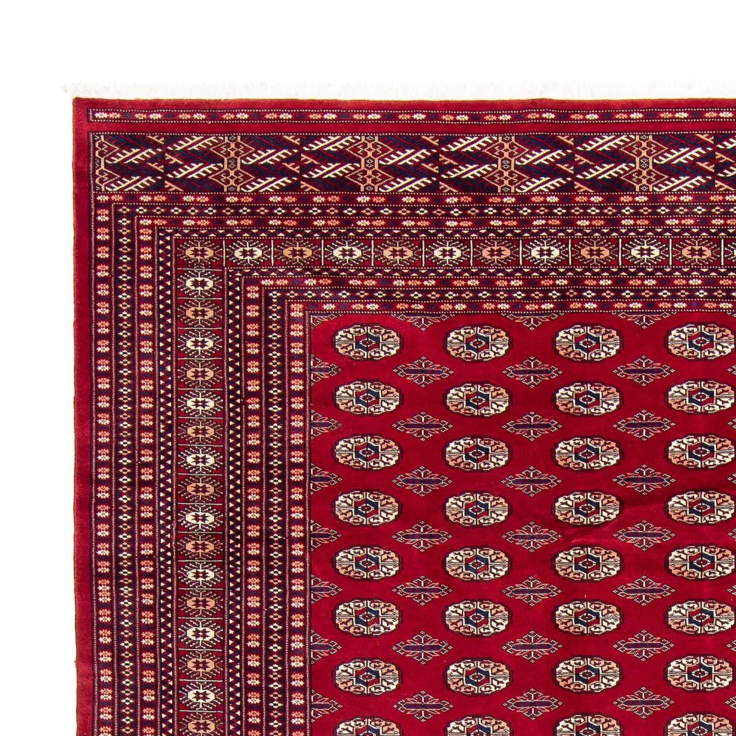 Afghansk tæppe - Bukhara - 303 x 253 cm - rød