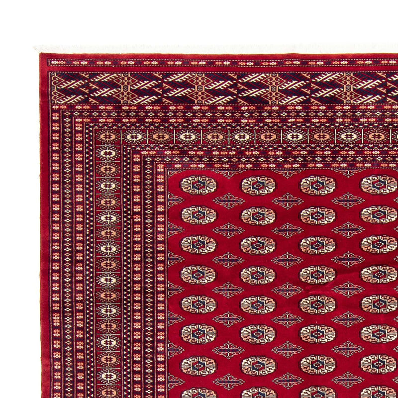 Afghansk tæppe - Bukhara - 303 x 253 cm - rød