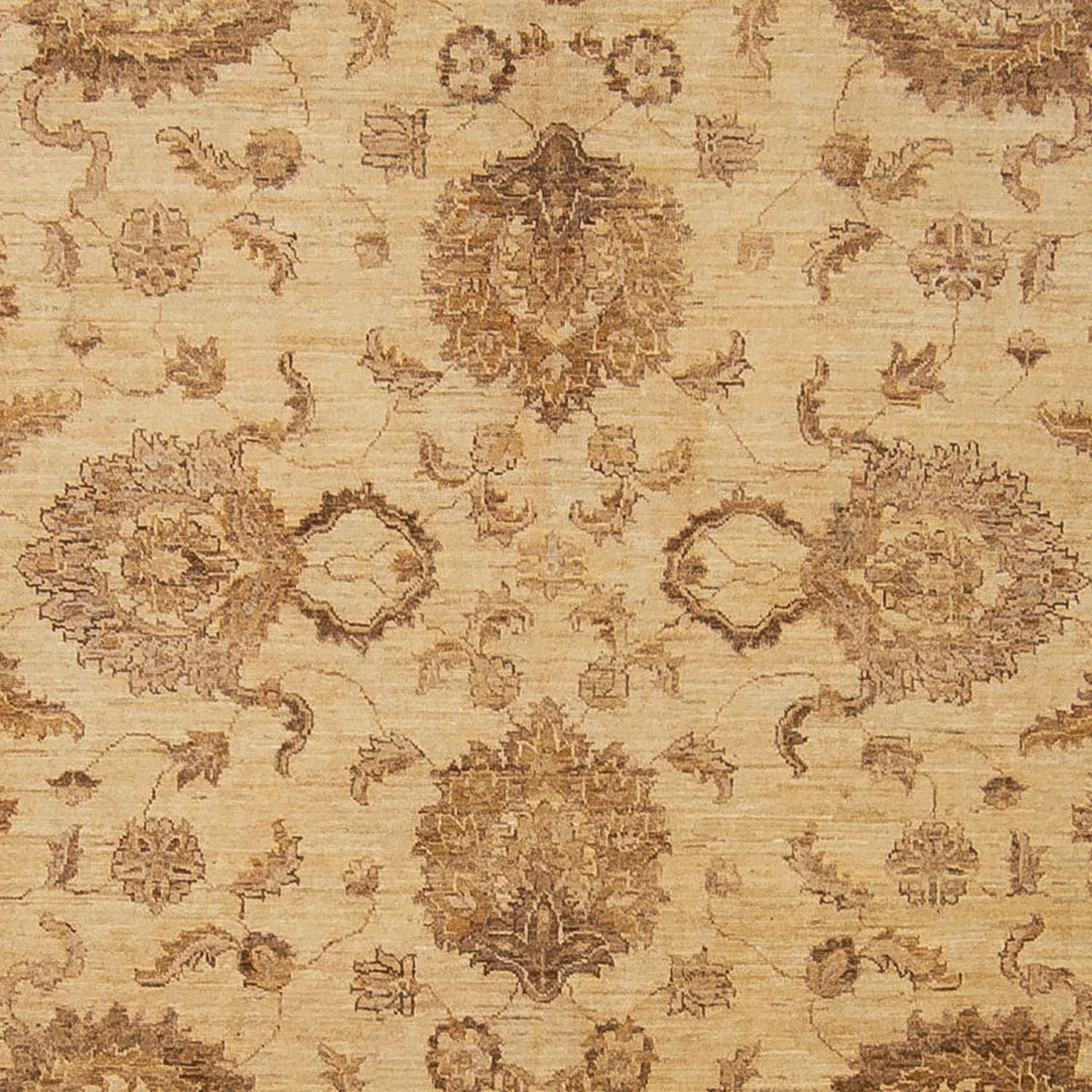 Ziegler Carpet - 296 x 238 cm - lys brun