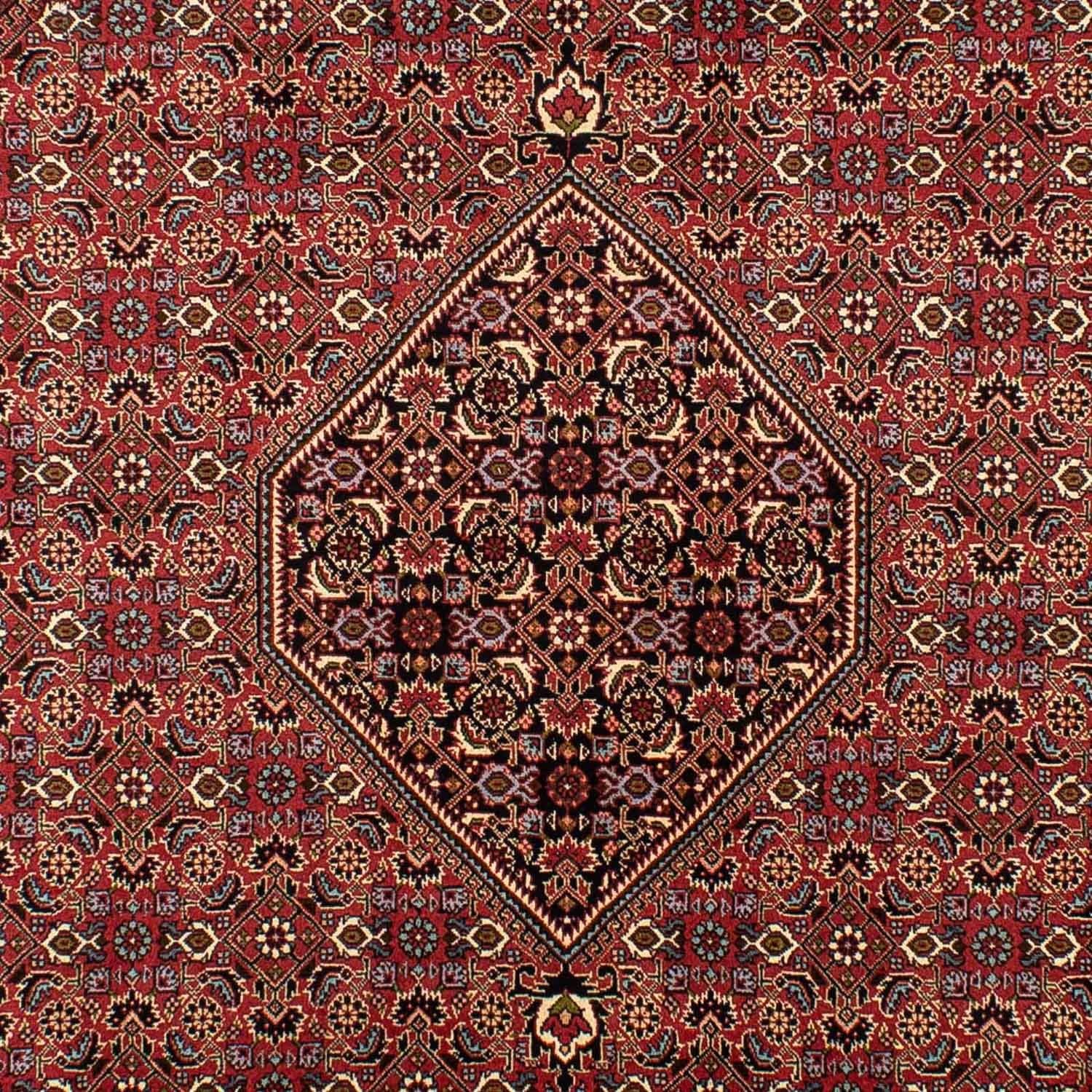 Persisk tæppe - Bijar - 296 x 198 cm - brun