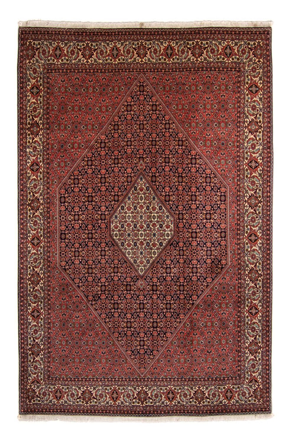 Persisk tæppe - Bijar - 350 x 249 cm - brun