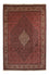 Persisk tæppe - Bijar - 350 x 249 cm - brun