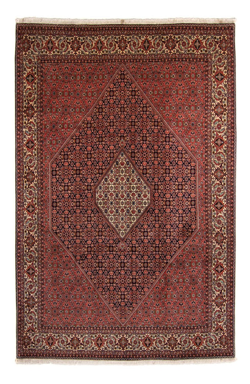 Persisk tæppe - Bijar - 350 x 249 cm - brun