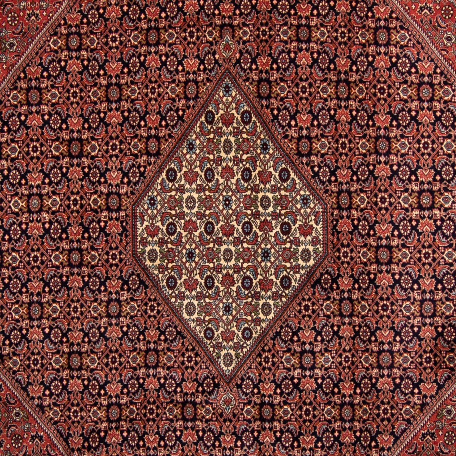Persisk tæppe - Bijar - 350 x 249 cm - brun