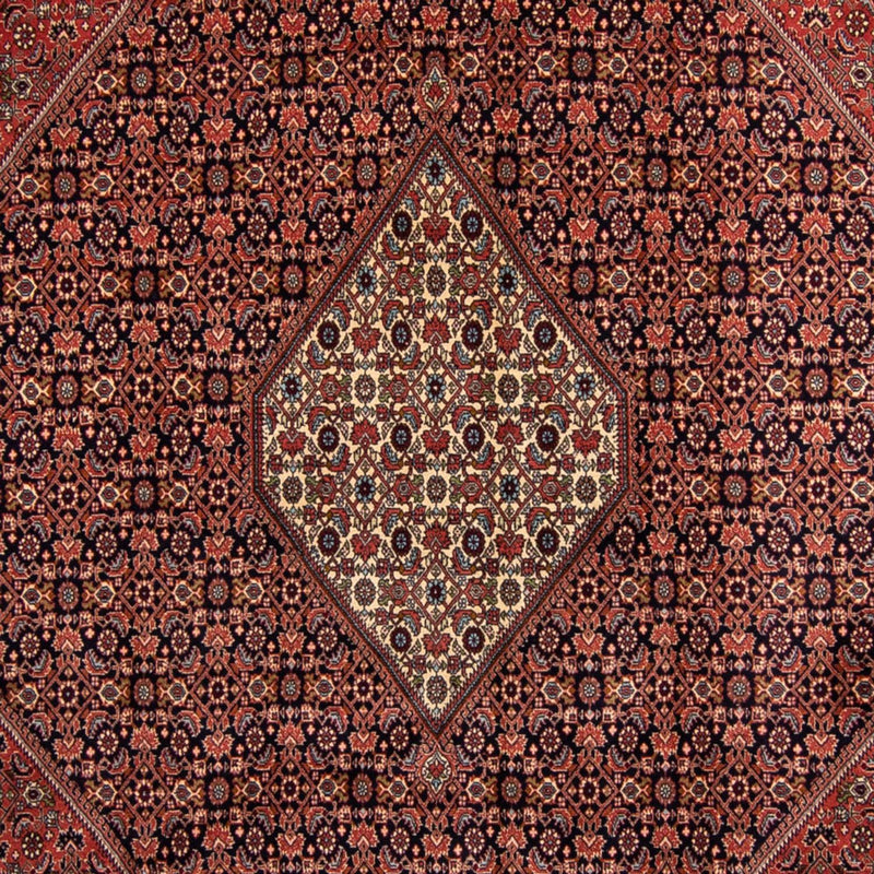Persisk tæppe - Bijar - 350 x 249 cm - brun