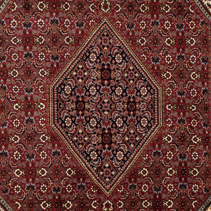 Persisk tæppe - Bijar - 298 x 199 cm - brun