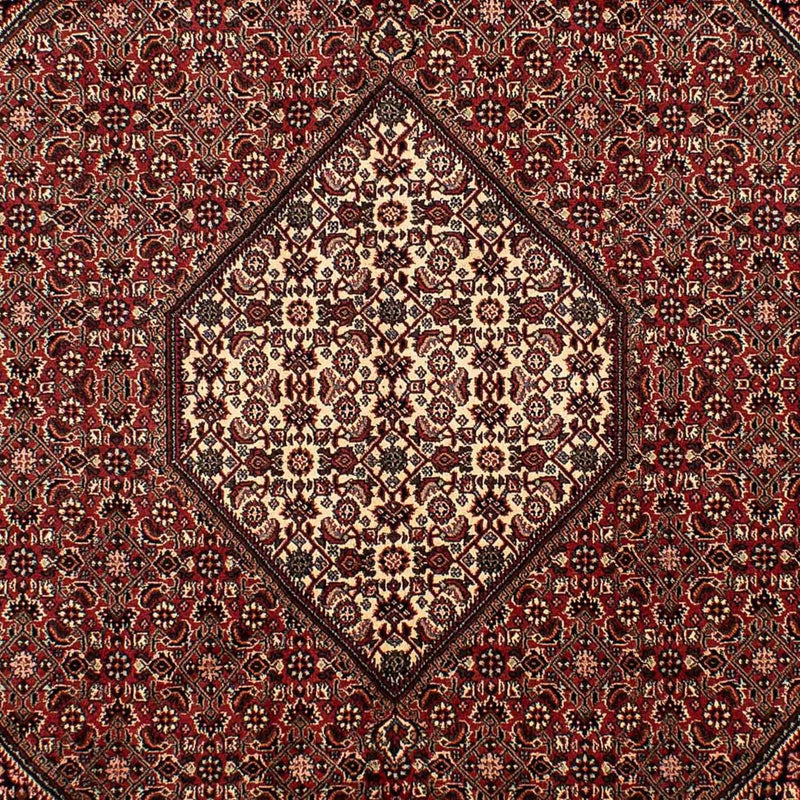 Persisk tæppe - Bijar - 288 x 198 cm - brun