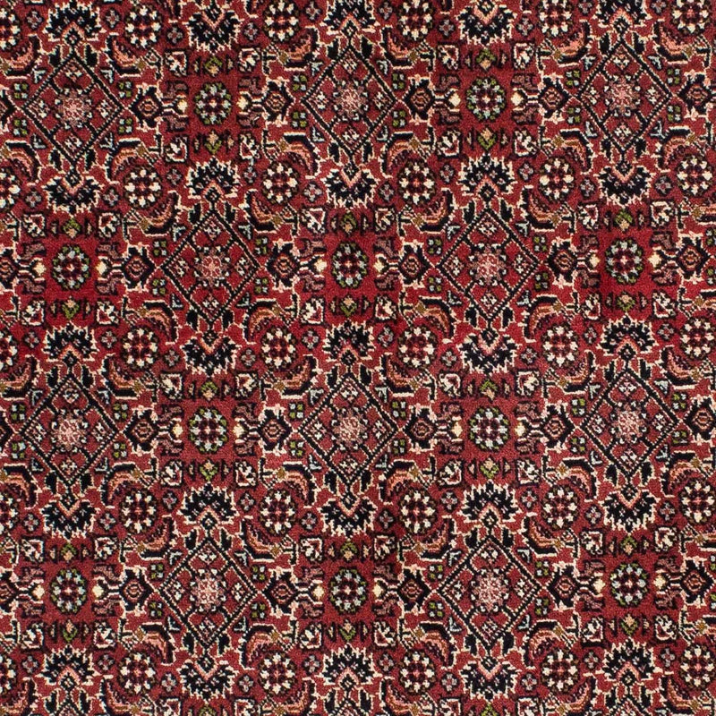 Persisk tæppe - Bijar - 208 x 139 cm - rød
