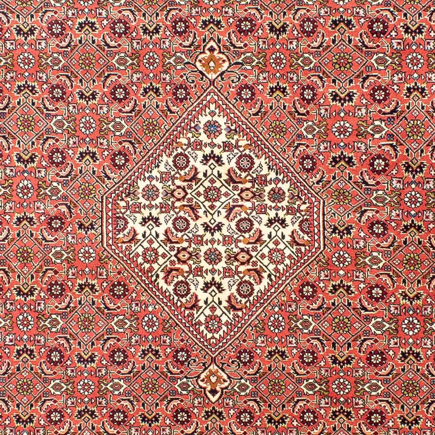 Persisk tæppe - Bijar - 252 x 173 cm - lysrød
