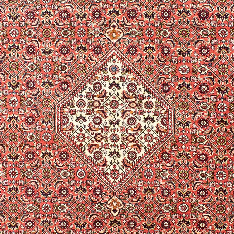 Persisk tæppe - Bijar - 252 x 173 cm - lysrød