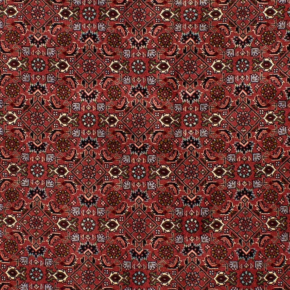Persisk tæppe - Bijar - 205 x 136 cm - mørkerød