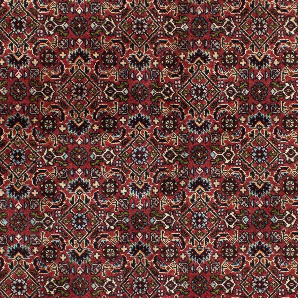 Persisk tæppe - Bijar - 205 x 141 cm - rød
