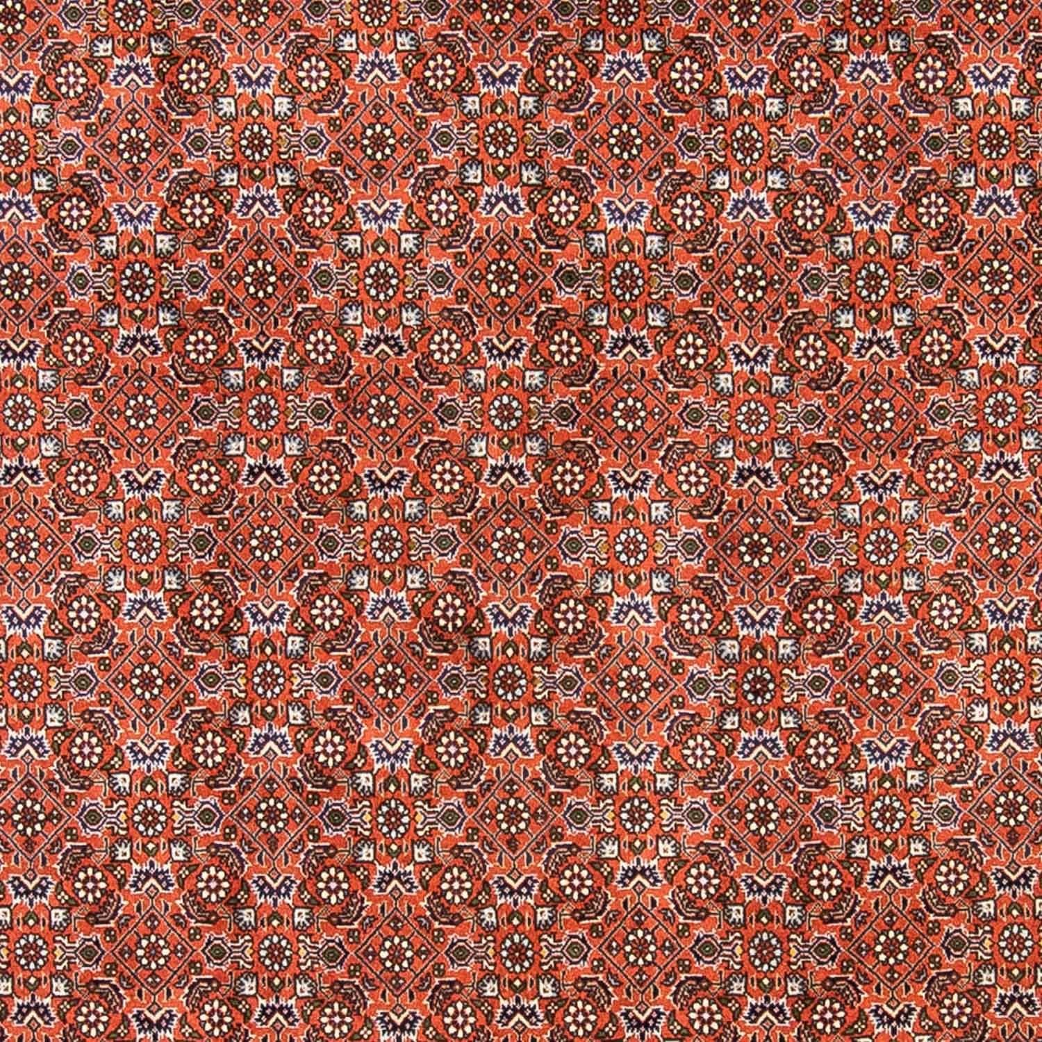 Persisk tæppe - Bijar - 237 x 168 cm - lysrød